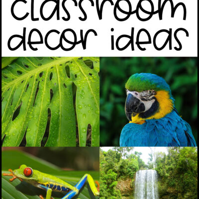 jungle classroom decor ideas