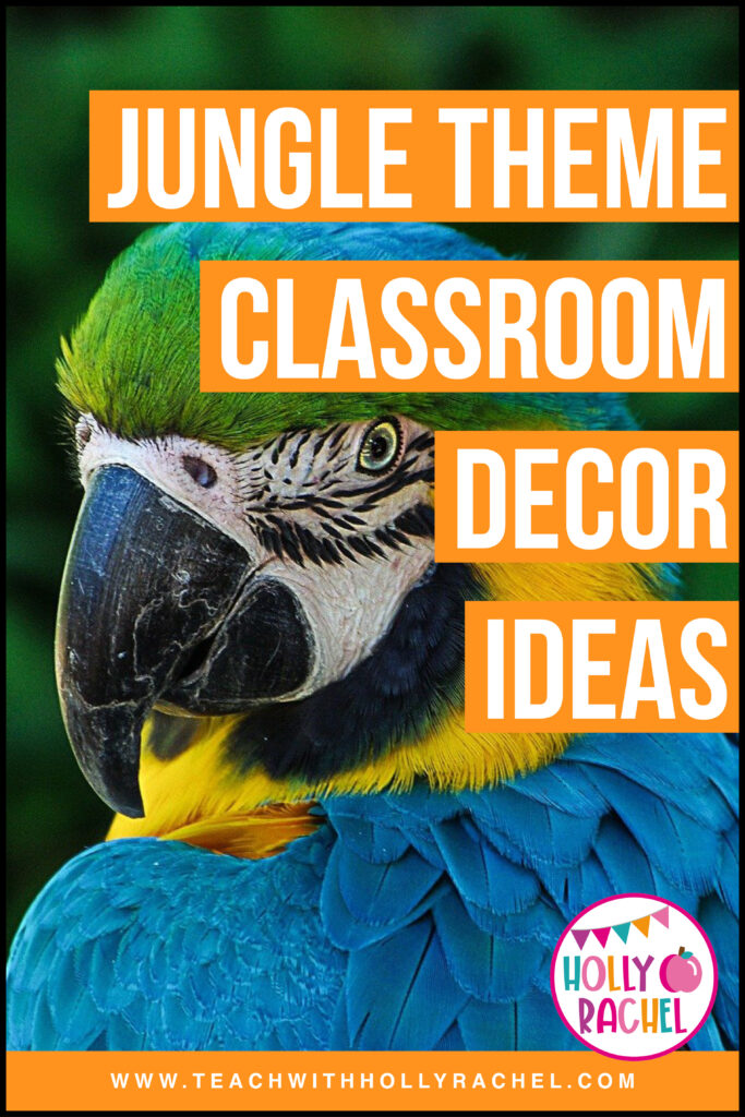 parrot classroom